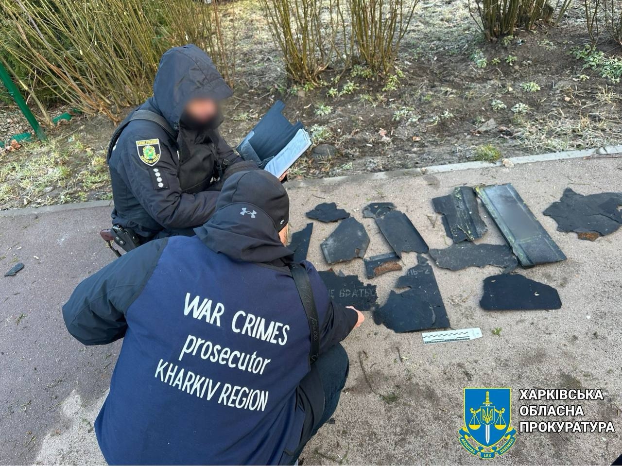 Изображение из галереи