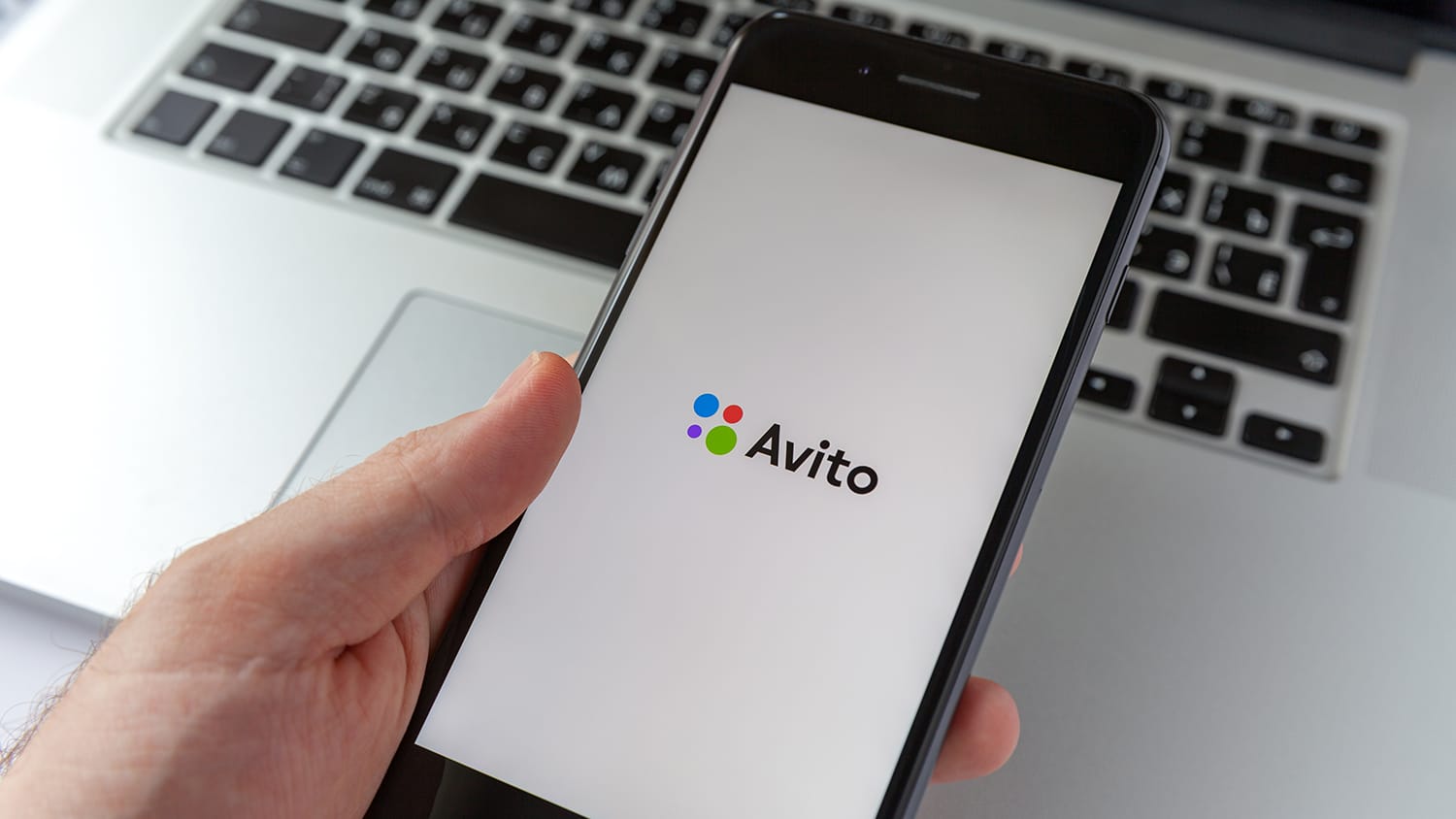 «Авито» удалила объявление с котом, использовавшееся для связи при отключениях интернета, и отправила аккаунт его создательницы на проверку